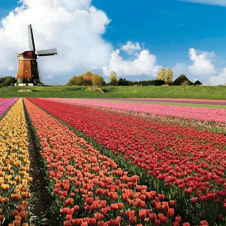 Buitenhof 45a Oegstgeest