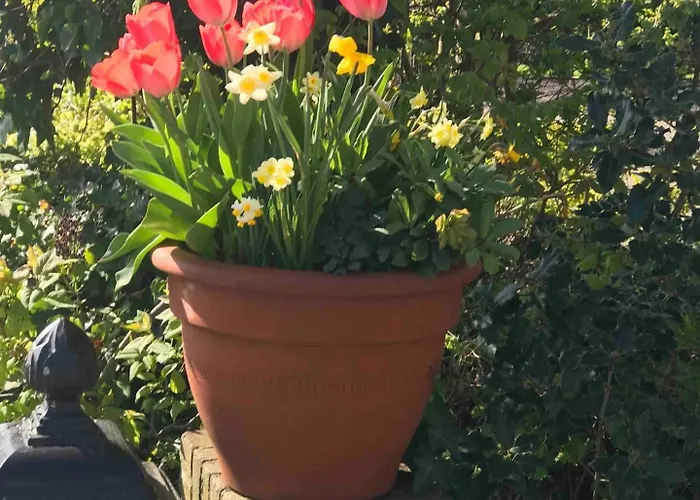 Buitenhof 45a Chalet